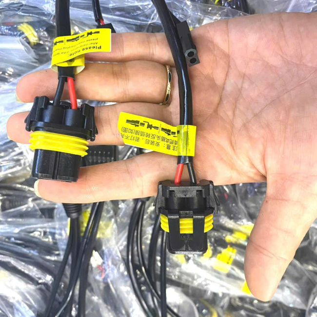 Role H4 Cắm Zin Khiển Âm Dương